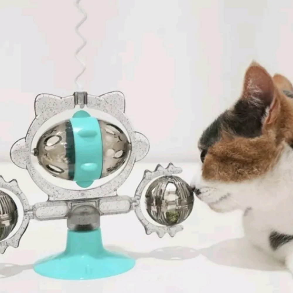 Cat toy